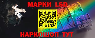 PSILOCYBIN Моздок