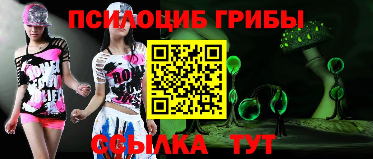 Димитровград  Псилоцибиновые грибы Magic Shrooms  Вход с VPN 